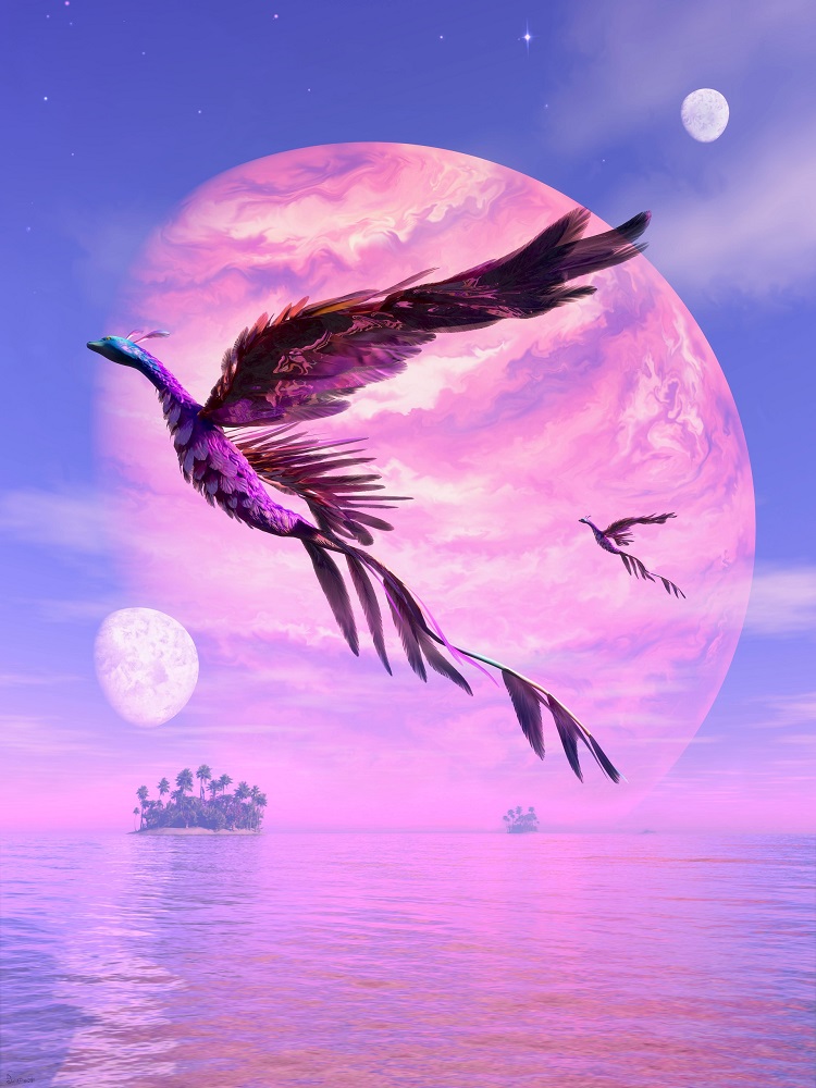 Happy woman hiker in a misty forest